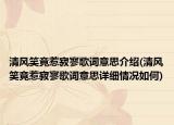 清风笑竟惹寂寥歌词意思介绍(清风笑竟惹寂寥歌词意思详细情况如何)