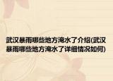 武汉暴雨哪些地方淹水了介绍(武汉暴雨哪些地方淹水了详细情况如何)