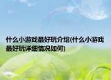 什么小游戏最好玩介绍(什么小游戏最好玩详细情况如何)