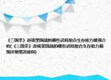 《三国杀》游戏里国战的哪些武将组合生存能力最强介绍(《三国杀》游戏里国战的哪些武将组合生存能力最强详细情况如何)