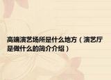 高端演艺场所是什么地方（演艺厅是做什么的简介介绍）