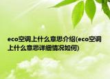eco空调上什么意思介绍(eco空调上什么意思详细情况如何)