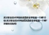 武汉职业技术学院和武昌职业学院是一个嘛?介绍(武汉职业技术学院和武昌职业学院是一个嘛?详细情况如何)