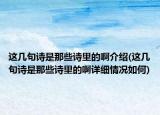 这几句诗是那些诗里的啊介绍(这几句诗是那些诗里的啊详细情况如何)