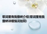 歌词里有我撒娇介绍(歌词里有我撒娇详细情况如何)
