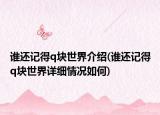 谁还记得q块世界介绍(谁还记得q块世界详细情况如何)