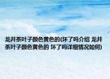龙井茶叶子颜色黄色的(坏了吗介绍 龙井茶叶子颜色黄色的 坏了吗详细情况如何)