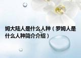 姆大陆人是什么人种（罗姆人是什么人种简介介绍）