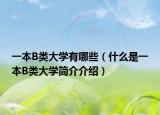 一本B类大学有哪些（什么是一本B类大学简介介绍）