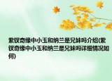 紫钗奇缘中小玉和纳兰是兄妹吗介绍(紫钗奇缘中小玉和纳兰是兄妹吗详细情况如何)