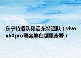 东宁特遣队和远东特遣队（vivox60pro黑名单在哪里查看）
