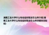 湖南工业大学什么专业最好就业怎么样介绍(湖南工业大学什么专业最好就业怎么样详细情况如何)