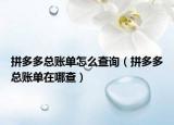 拼多多总账单怎么查询（拼多多总账单在哪查）