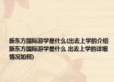 新东方国际游学是什么(出去上学的介绍 新东方国际游学是什么 出去上学的详细情况如何)