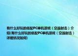 有什么好玩的低配PC单机游戏（空战射击）介绍(有什么好玩的低配PC单机游戏（空战射击）详细情况如何)