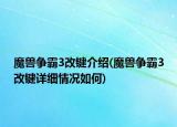 魔兽争霸3改键介绍(魔兽争霸3改键详细情况如何)