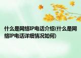 什么是网络IP电话介绍(什么是网络IP电话详细情况如何)