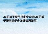 28的裤子腰围是多少介绍(28的裤子腰围是多少详细情况如何)