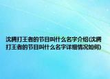 沈腾打王者的节目叫什么名字介绍(沈腾打王者的节目叫什么名字详细情况如何)