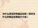 为什么郭芙砍伤杨过右臂（郭芙为什么砍杨过右臂简介介绍）