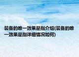 装备的唯一效果是指介绍(装备的唯一效果是指详细情况如何)