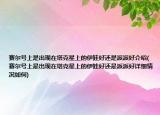 赛尔号上是出现在塔克星上的伊娃好还是派派好介绍(赛尔号上是出现在塔克星上的伊娃好还是派派好详细情况如何)
