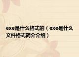 exe是什么格式的（exe是什么文件格式简介介绍）