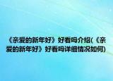 《亲爱的新年好》好看吗介绍(《亲爱的新年好》好看吗详细情况如何)