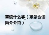 睾读什么字（睾怎么读简介介绍）