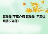 郭美美(王军介绍 郭美美  王军详细情况如何)