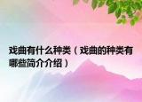 戏曲有什么种类（戏曲的种类有哪些简介介绍）