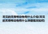 常见的无脊椎动物有什么介绍(常见的无脊椎动物有什么详细情况如何)