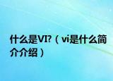 什么是VI?（vi是什么简介介绍）