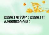 巴西属于哪个洲?（巴西属于什么洲国家简介介绍）