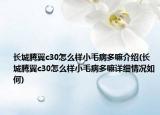 长城腾翼c30怎么样小毛病多嘛介绍(长城腾翼c30怎么样小毛病多嘛详细情况如何)