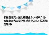 怎样查询光大量化核基金个人帐户介绍(怎样查询光大量化核基金个人帐户详细情况如何)