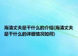 海清丈夫是干什么的介绍(海清丈夫是干什么的详细情况如何)