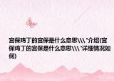 宫保鸡丁的宫保是什么意思\