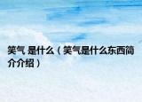 笑气 是什么（笑气是什么东西简介介绍）