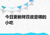 今日更新烤苕皮是哪的小吃