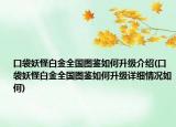口袋妖怪白金全国图鉴如何升级介绍(口袋妖怪白金全国图鉴如何升级详细情况如何)