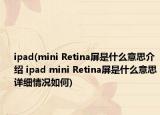 ipad(mini Retina屏是什么意思介绍 ipad mini Retina屏是什么意思详细情况如何)