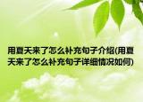 用夏天来了怎么补充句子介绍(用夏天来了怎么补充句子详细情况如何)