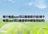 哪个电视app可以看青瓷介绍(哪个电视app可以看青瓷详细情况如何)