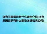 洛克王国雷欧有什么宠物介绍(洛克王国雷欧有什么宠物详细情况如何)