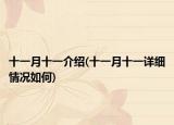 十一月十一介绍(十一月十一详细情况如何)