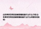 山东泰安岱岳区的邮政编码是什么什么介绍(山东泰安岱岳区的邮政编码是什么什么详细情况如何)