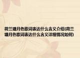 荷兰塘月色歌词表达什么含义介绍(荷兰塘月色歌词表达什么含义详细情况如何)