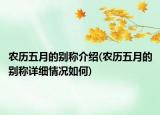 农历五月的别称介绍(农历五月的别称详细情况如何)