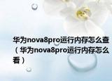 华为nova8pro运行内存怎么查（华为nova8pro运行内存怎么看）